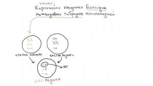 Селекция | БИОЛОГИЯ ЕГЭ | Лина Клевер
