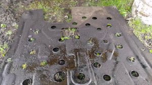 КАК БУДЕТ ВЫГЛЯДЕТЬ ДВИГАТЕЛЬ, ЕСЛИ ПОМЫТЬ ТОЛЬКО КЕРХЕРОМ БЕЗ ХИМИИ | CHEVROLET CRUZE | МАСЛО ВЕЗДЕ