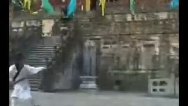 Удан Фан Бянь Чань - Лопата (видео 1).flv