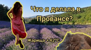 Франция. Лавандовые поля Прованса. Обзор жилья. Невозможно было спать