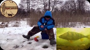 Рыбалка на труднодоступной реке.Кто бы мог подумать?просто рыбное эльдорадо.