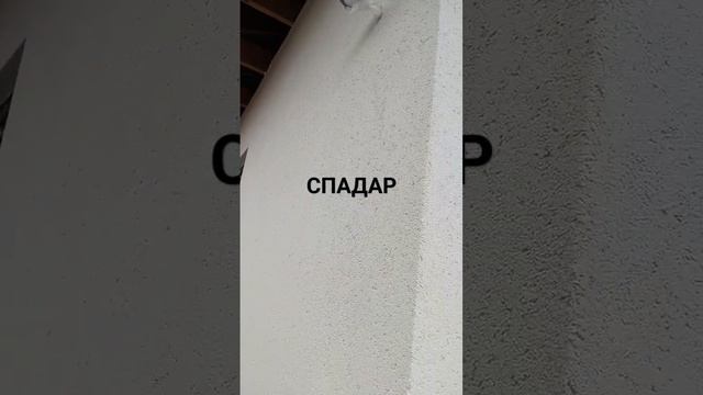 СПАДАР