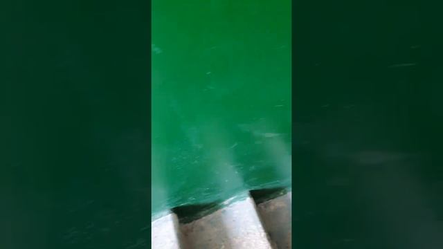 постоянное состояние подъездов от УК ВОРОШИЛОВСКОГО РАЙОНА смотреть онлайн