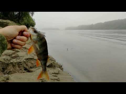 Выезд на реку Тавда, рыбалка август 2020 #NIK_72 смотреть онлайн