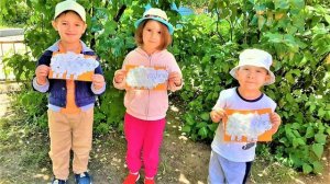 День животных 21.06.2023