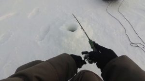 Ловля судака на раттлины. Рыбалка в Татарстане, река Кама, село Сорочьи горы.