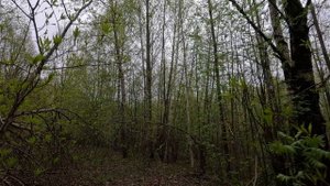 Грустная музыка из Тик Тока без слов для фона. Фоновая музыка для Стихов Цитат