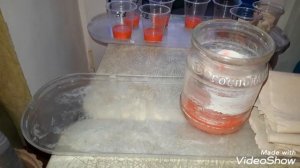 АХИМЕНЕСЫ. Обработка ризом ахименесов фунгицидом. Хранение ризом зимой в зип пакетах с вермикулитом