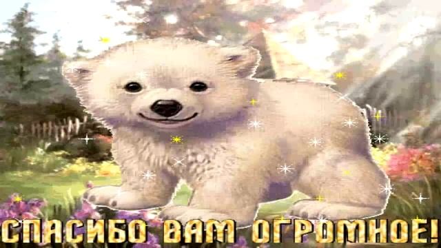 Всем Огромное спасибо за поздравление!!!! смотреть онлайн