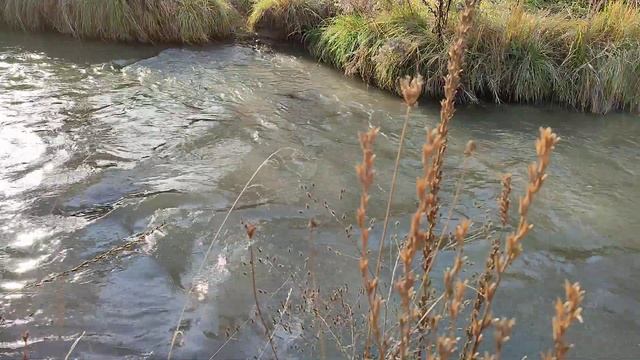 Стихия воды.Магия воды. смотреть онлайн