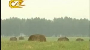 Пресс - подборщик ПРФ-750