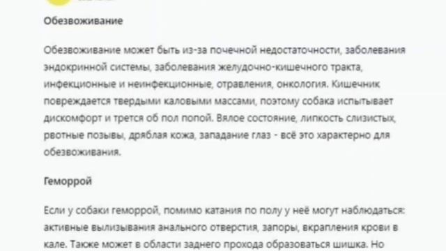 Почему собака ездит попой по полу?