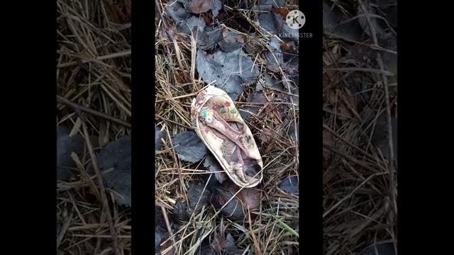 Экскурсия по лесу | нашли мертвую чупакабру в лесу | нашли землянку в лесу | нашли дом на дереве. смотреть онлайн