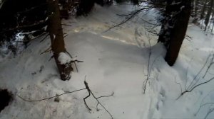 Охота на Лис капканами 2020г.  И ТАКОЕ БЫВАЕТ.... (1 часть)