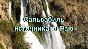 Необычные мусульманские женские имена