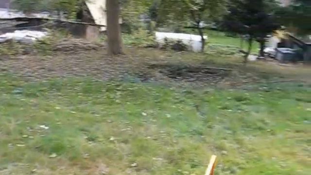 zahrad смотреть онлайн