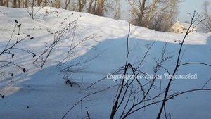 КУПИЛИ ЗАБРОШЕННЫЙ ДОМ В ДЕРЕВНЕ И 60 СОТОК ЗЕМЛИ!