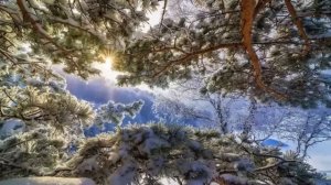 Если что-то давит и  на сердце тяжело. Святитель Феофан Затворник.