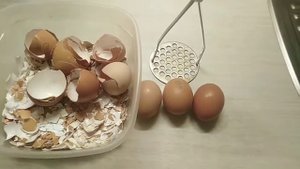 Важно знать!!! Яичная скорлупа как удобрение в сад и огород