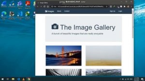 Image Gallery | HTML, CSS And Bootstrap | Website Design | Saif Ullah