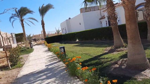 ЕГИПЕТ в январе// отель ALADDIN  BEACH  RESORT// обзор