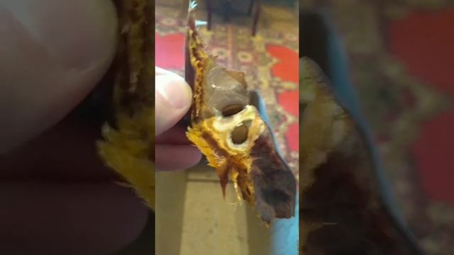 Семена гледичии/Gledichia Seeds