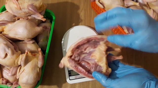 Самая крупная мясная порода Перепела//Мясо перепела Украина//Инкуб яйцо перепела Украина