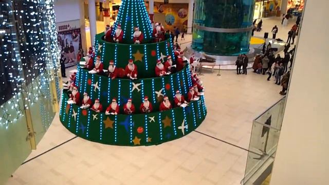 Поющая ёлка смотреть онлайн