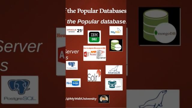 The Most Popular Databases (Oracle, MySQL, MongoDB, MS SQL Server, MS Access DB) #part1