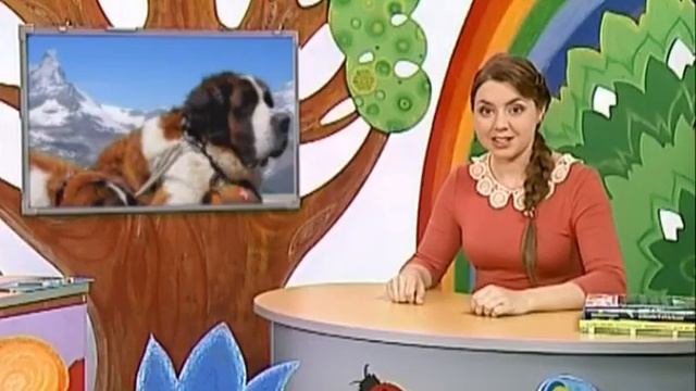 Школа Шишкиного Леса. Природоведение. Служебные собаки