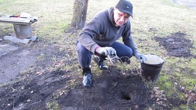 Проверенный способ отлова кротов. Кроты атакуют.