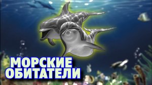 МОРСКИЕ ОБИТАТЕЛИ / Подводный мир / Морские животные для детей