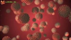 Терапевтическое Эфирное масло Пихты, свойства и применение