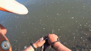 Хариус на углях. Готовим хариуса. Хариус на природе. Как приготовить хариуса. Спиннинг. спининг