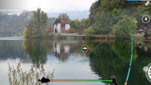 My Fishing Word- ежедневное задание. Вырезуб(подробнее в описании)