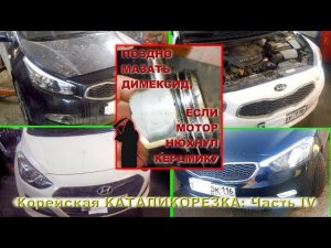 Корейская КАТАЛИКОРЕЗКА - часть IV