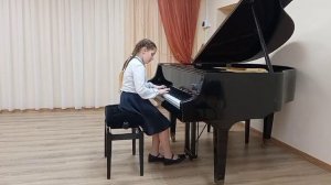 Козелкова Анастасия С. Слонимский Сокровища южного моря