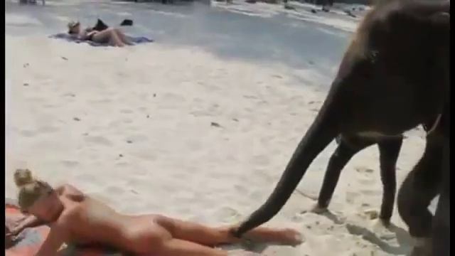 СЛОНИК ПОЩИКОТИЛ ХОБОТКОМ МЕЖДУ НОЖЕК ДЕВУШКУ смотреть онлайн