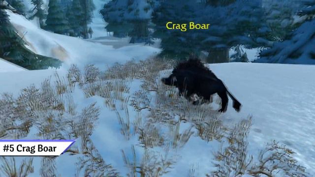 Useless WoW Top 10's - Top 10 Boars in World of Warcraft Classic