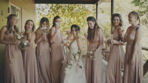 Свадебный КЛИП Ростовская обл.