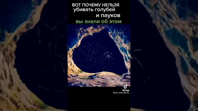 мир ислама смотреть онлайн