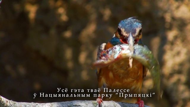 Национальный парк 