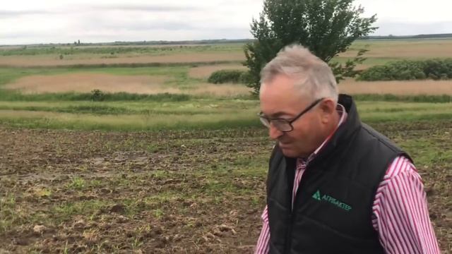 Думать о будущем полтавских черноземов смотреть онлайн