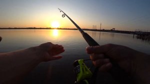 ПЕРВАЯ ЧЕХОНЬ ПОШЛА! ЛОВЛЯ НА БОМБАРДУ НА КАМЕ #рыбалка #бомбарда #чехонь