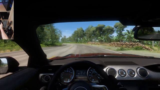 Forza Horizon 5 | Ford Mustang RTR | Steering Wheel Logitech G923 | Gameplay