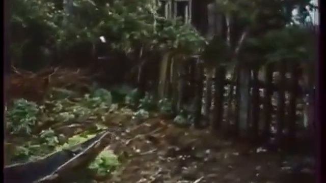 Большеречье 1991 (Омская область)