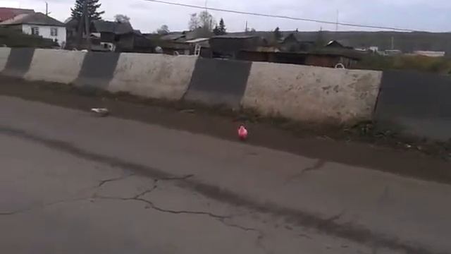 Розовый голубь гуляет по селу смотреть онлайн