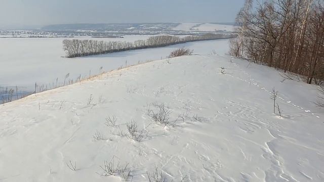 Охота на зайца. Отличная выдалась погода. смотреть онлайн