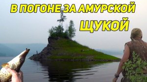 ✔️ В ПОГОНЕ ЗА АМУРСКОЙ ЩУКОЙ.