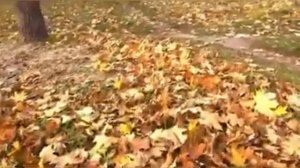 Премьера 2023!!! ЛИСТЬЯ КРУЖАТСЯ - Андрей Картавцев